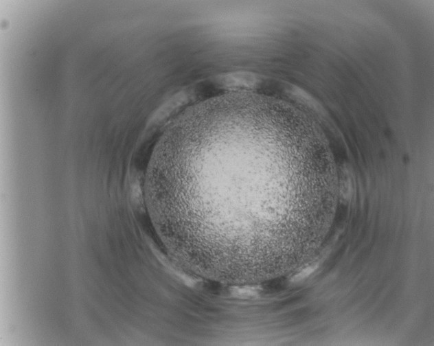 X0000076450573200610161314