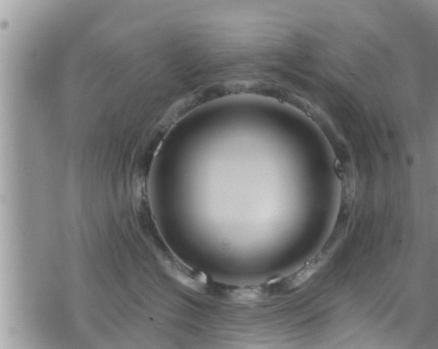 X0000076450574200610161314