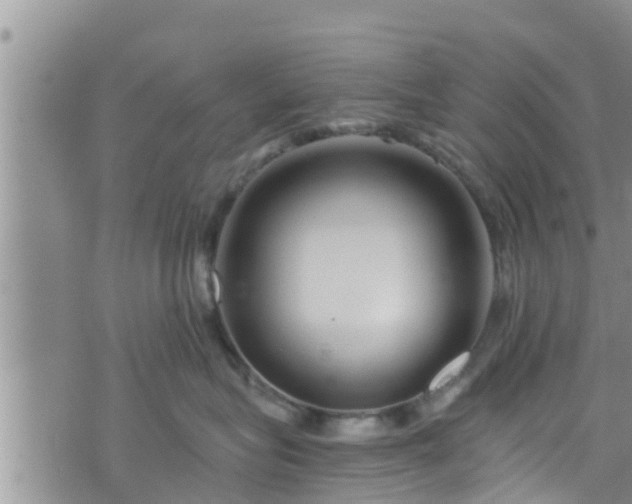 X0000076450575200610161314