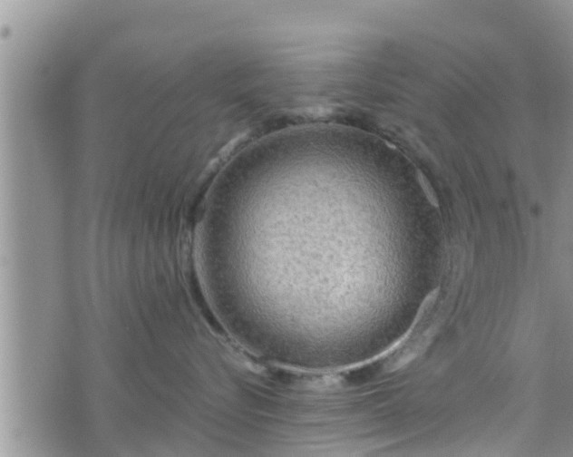 X0000076450576200610161314