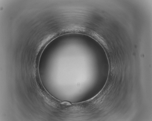 X0000076450578200610161314