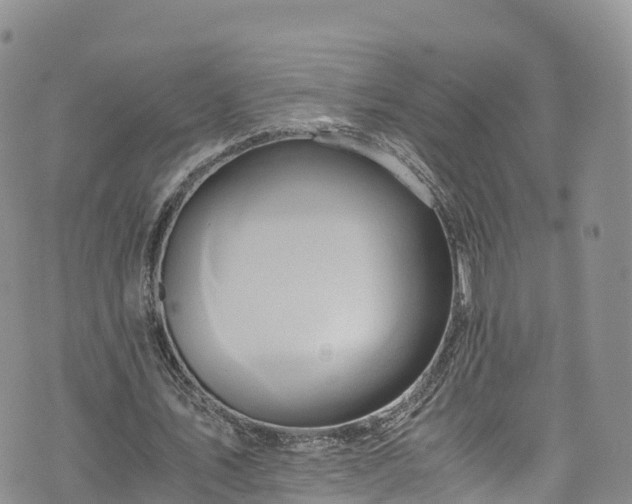 X0000076450579200610161314