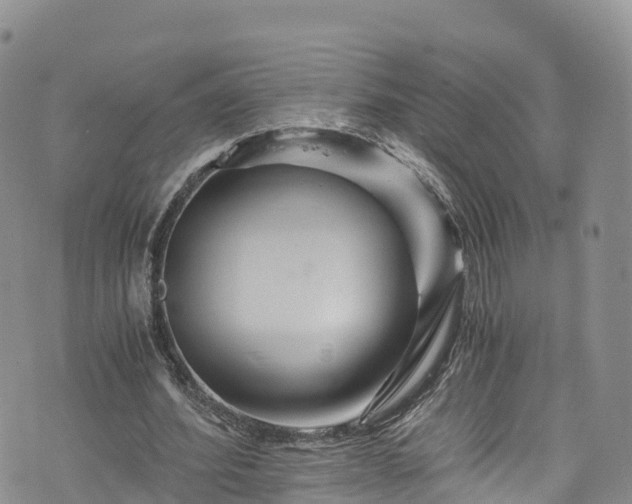 X0000076450580200610161314