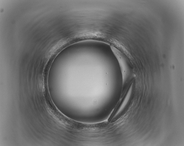 X0000076450582200610161314