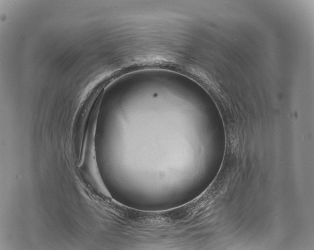 X0000076450583200610161314