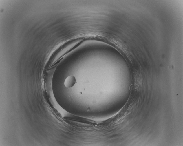 X0000076450584200610161314