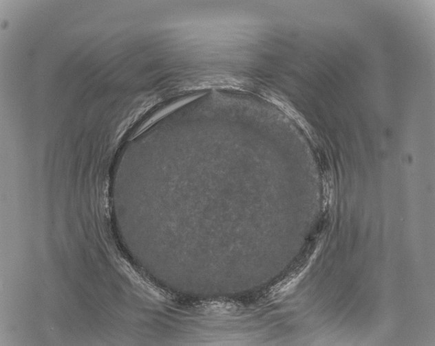 X0000076450585200610161314