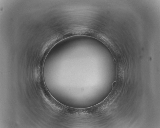 X0000076450586200610161314