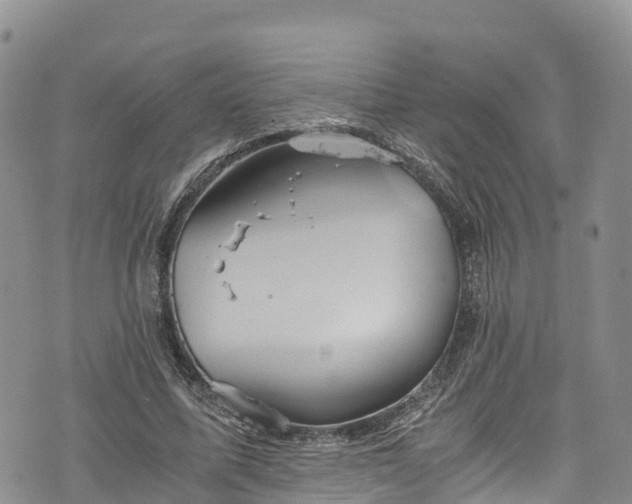 X0000076450587200610161314