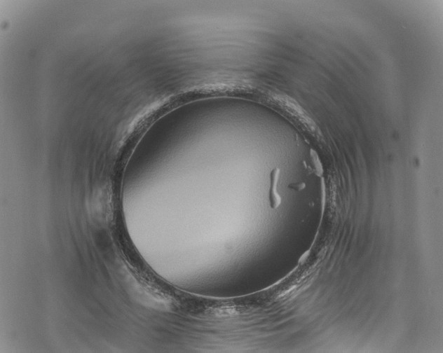 X0000076450588200610161314