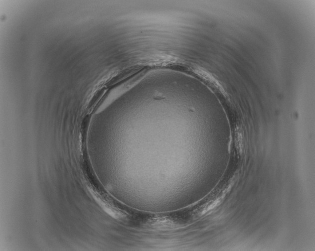 X0000076450589200610161313