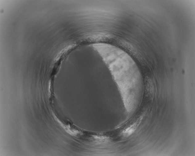 X0000076450590200610161313