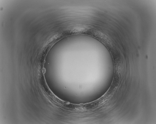 X0000076450591200610161313