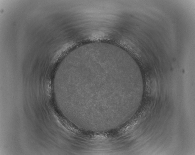 X0000076450592200610161313