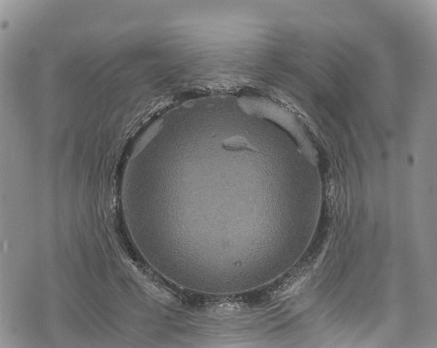 X0000076450593200610161313