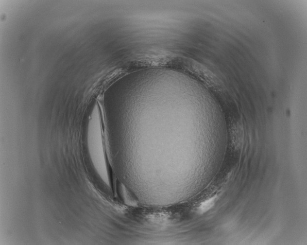 X0000076450594200610161313