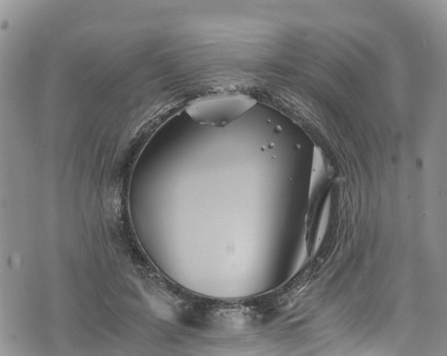 X0000076450595200610161313