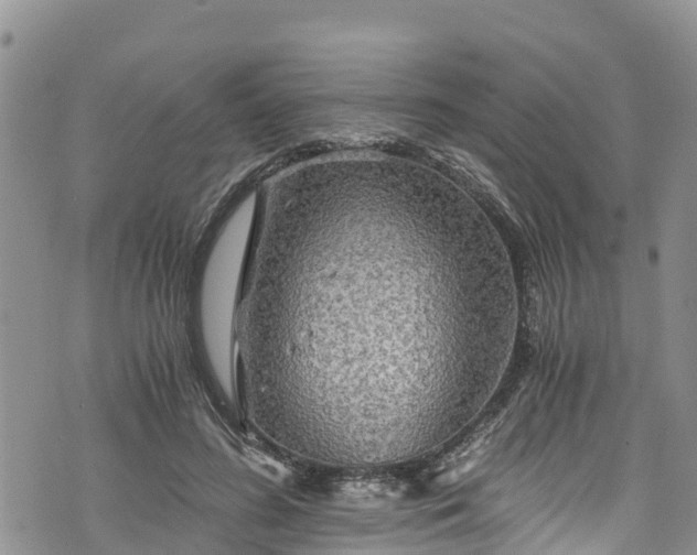 X0000076450596200610161313