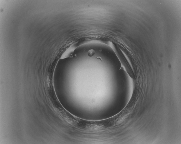 X0000076450597200610161313