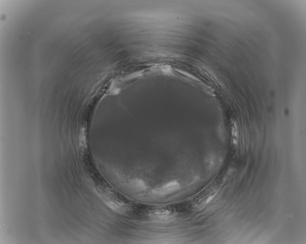 X0000076450598200610161313