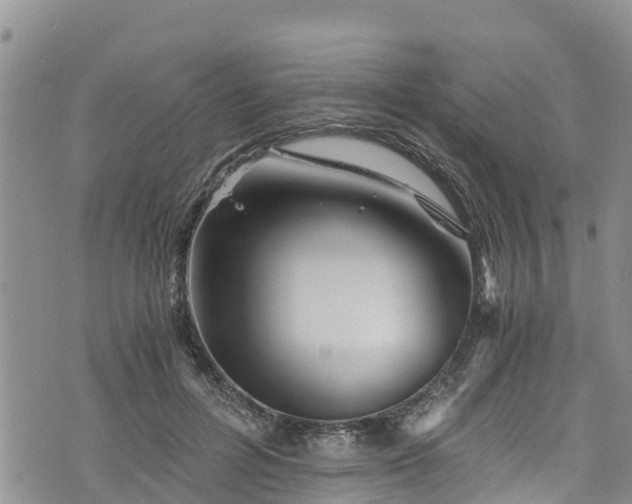 X0000076450600200610161313