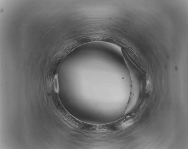 X0000076450601200610161313