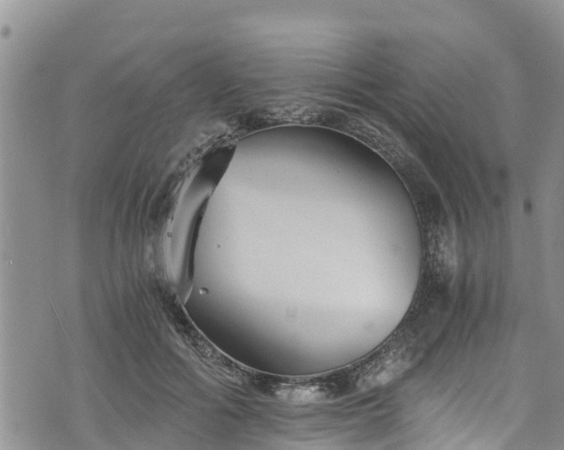 X0000076450602200610161313