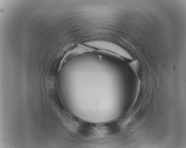 X0000076450603200610161313