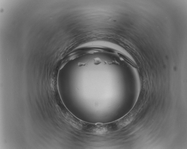 X0000076450604200610161313