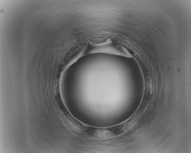 X0000076450605200610161313