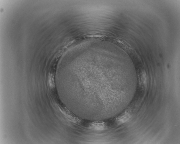 X0000076450606200610161313