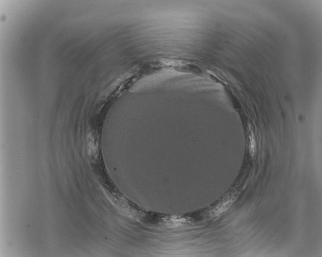 X0000076450607200610161313