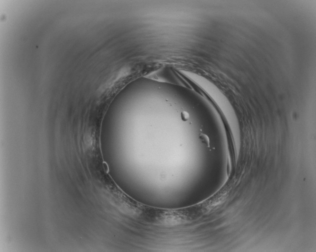 X0000076450608200610161313