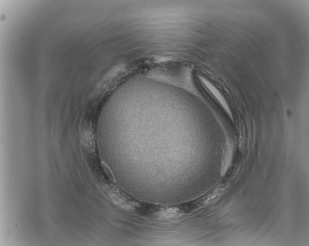 X0000076450609200610161313