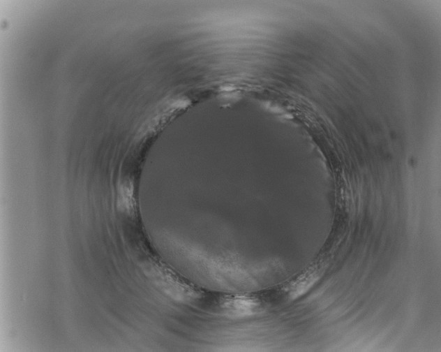 X0000076450610200610161313