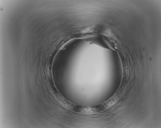 X0000076450611200610161313