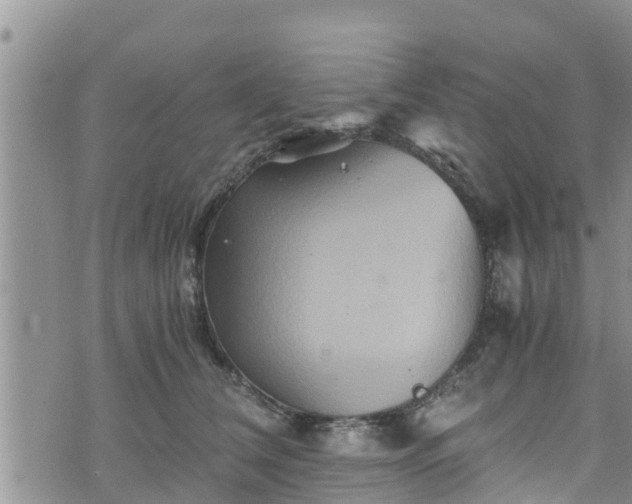 X0000076450612200610161313