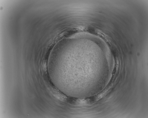 X0000076450613200610161313