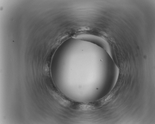 X0000076450614200610161313