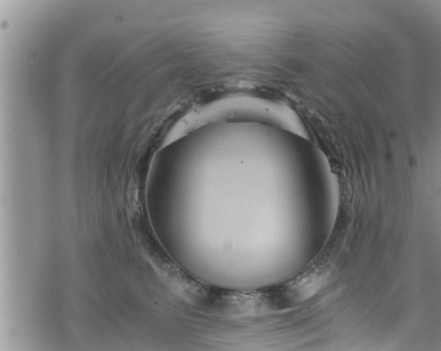 X0000076450615200610161313