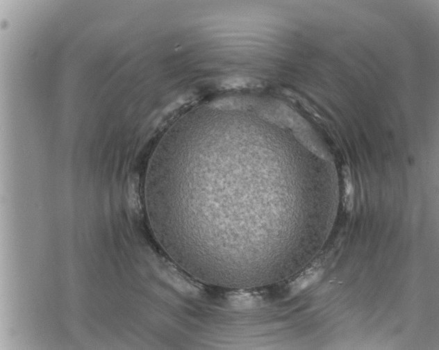 X0000076450616200610161313