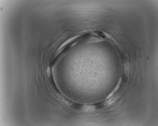 X0000076450617200610161313