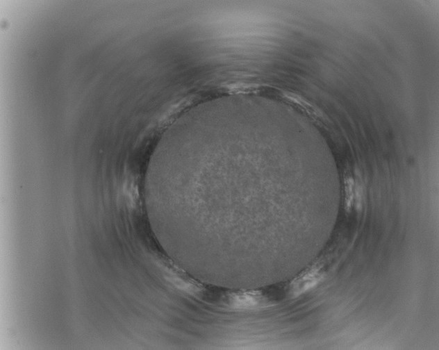 X0000076450618200610161313