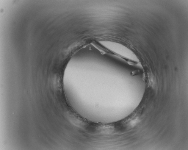 X0000076450619200610161313