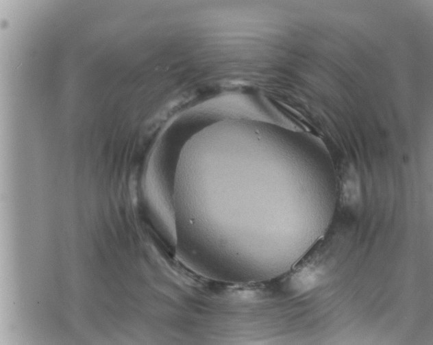 X0000076450620200610161313