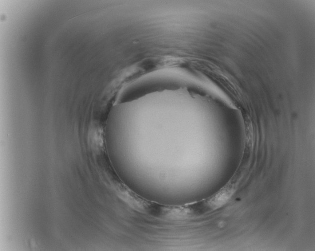 X0000076450621200610161313