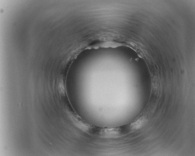 X0000076450622200610161313