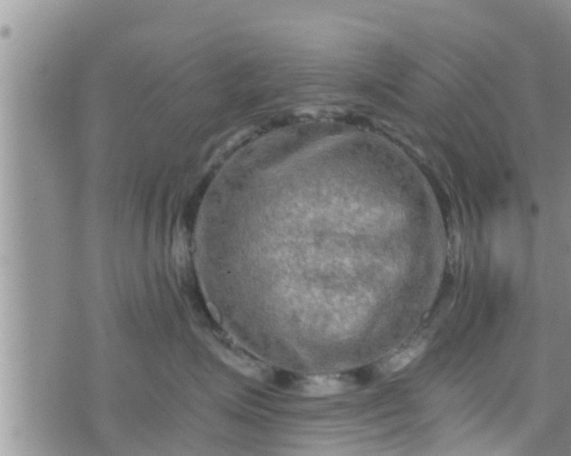 X0000076450623200610161313