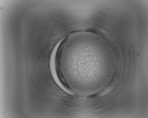 X0000076450624200610161313