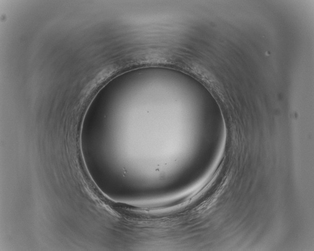 X0000076450625200610161312